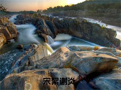 宋絮谢炎（宋絮谢炎无弹窗）全文免费阅读无弹窗大结局_（宋絮谢炎全文免费阅读无弹窗）宋絮谢炎无弹窗最新章节列表_笔趣阁
