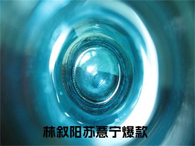 林叙阳苏薏宁全文免费阅读-林叙阳苏薏宁最新章节小说阅读