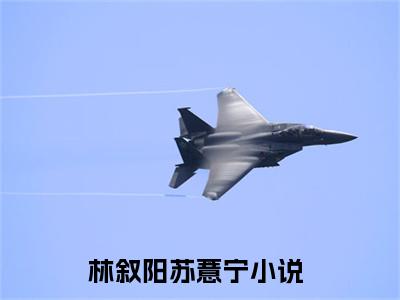 林叙阳苏薏宁免费阅读无弹窗（林叙阳苏薏宁）全文免费阅读无弹窗大结局_林叙阳苏薏宁最新章节列表_笔趣阁（林叙阳苏薏宁）