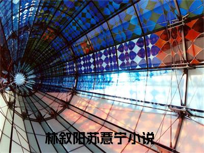 林叙阳苏薏宁（林叙阳苏薏宁）全文在线阅读无弹窗大结局_林叙阳苏薏宁最新章节列表_笔趣阁