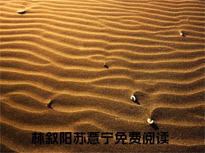 林叙阳苏薏宁(林叙阳苏薏宁)小说免费阅读无弹窗大结局_(林叙阳苏薏宁)林叙阳苏薏宁最新章节列表笔趣阁（林叙阳苏薏宁）