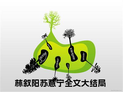 林叙阳苏薏宁全文免费阅读无弹窗大结局-（林叙阳苏薏宁）免费阅读无弹窗最新章节列表-笔趣阁