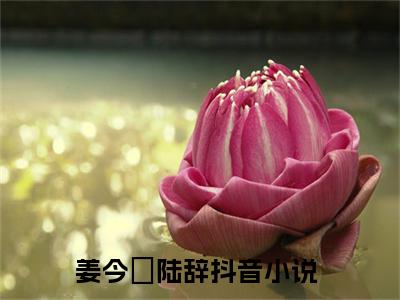姜今妧陆辞（姜今妧陆辞）全文免费阅读无弹窗_姜今妧陆辞最新小说精彩推荐