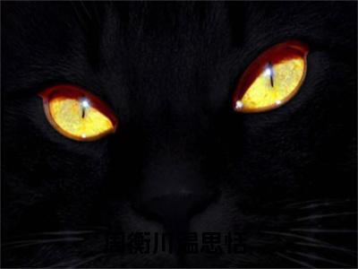 周衡川温思恬（周衡川温思恬）精选小说大结局阅读-抖音新书热荐周衡川温思恬