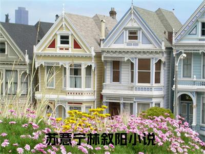 苏薏宁林叙阳(苏薏宁林叙阳)全文免费阅读无弹窗大结局_苏薏宁林叙阳小说在线阅读无删减