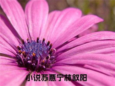 苏薏宁林叙阳(苏薏宁林叙阳)全文免费阅读无弹窗大结局_(苏薏宁林叙阳)小说免费阅读无弹窗最新章节列表