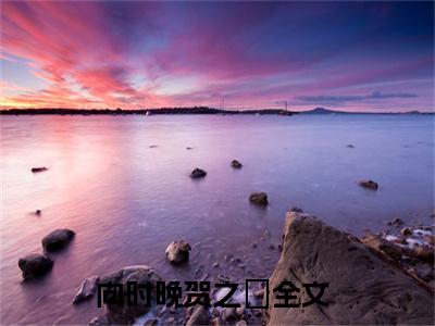 向时晚贺之旸小说全文免费阅读_向时晚贺之旸（向时晚贺之旸）最新章节列表在线阅读