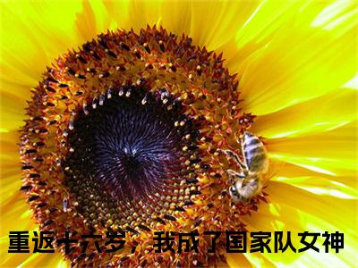 小说安屹乔小星全文免费阅读无弹窗大结局-重返十六岁，我成了国家队女神安屹乔小星免费阅读大结局