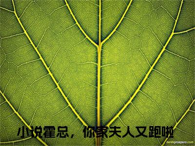 霍总，你家夫人又跑啦（霍景琛鹿晚晚）全文免费阅读无弹窗大结局_霍总，你家夫人又跑啦免费阅读最新章节列表_笔趣阁