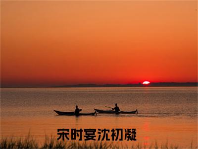 宋时宴沈初凝全文免费阅读无弹窗-宋时宴沈初凝小说最新章节列表