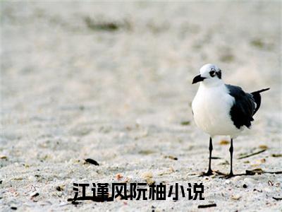江谨风阮柚（江谨风阮柚）精选知乎免费小说_江谨风阮柚最新章节免费阅读_笔趣阁