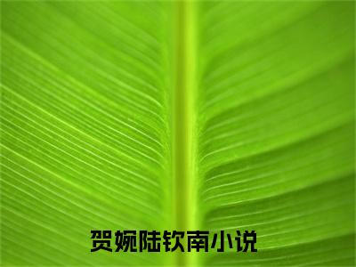 贺婉陆钦南全文免费阅读无弹窗大结局_（贺婉陆钦南）贺婉陆钦南最新章节列表笔趣阁（贺婉陆钦南）