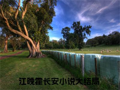 江晚霍长安(江晚霍长安)全文无弹窗大结局_江晚霍长安在线阅读无弹窗最新章节列表_笔趣阁