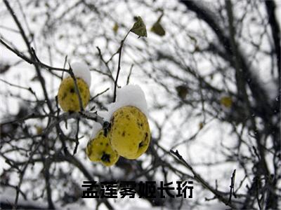孟莲雾姬长珩（孟莲雾姬长珩）全网首发小说-小说孟莲雾姬长珩完整版全文在线赏析