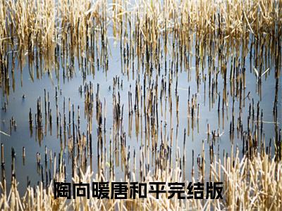 陶向暖唐和平热门小说（陶向暖唐和平）最新章节阅读-陶向暖唐和平小说最后结局如何