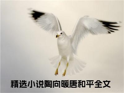 陶向暖唐和平全文阅读-陶向暖唐和平小说全文免费阅读_陶向暖唐和平最新章节列表_笔趣阁