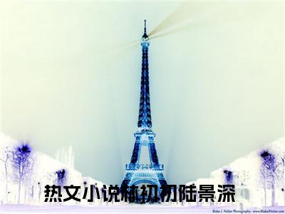 林初初陆景深(林初初陆景深)全文免费阅读无弹窗大结局_林初初陆景深完整版在线阅读章节列表_笔趣阁