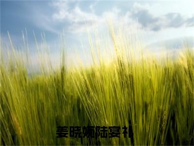 姜晓婉陆宴礼小说免费阅读（姜晓婉陆宴礼）全文免费阅读无弹窗大结局_姜晓婉陆宴礼小说免费阅读最新章节列表_笔趣阁（姜晓婉陆宴礼）