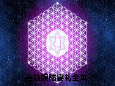 小说全文免费阅读无弹窗大结局_（姜晓婉陆宴礼）全文在线阅读