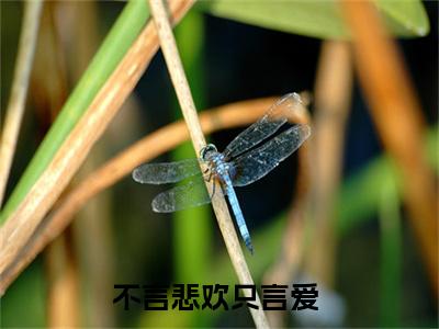 简清乔梓默(不言悲欢只言爱)小说精彩免费内容_简清乔梓默（不言悲欢只言爱）最新章节全文阅读大结局（简清乔梓默）