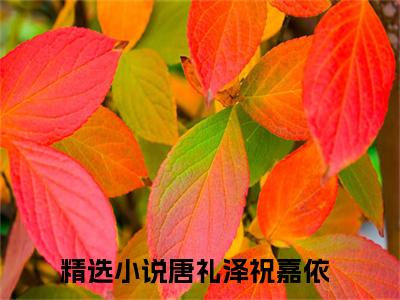 主角叫唐礼泽祝嘉依小说战帝神尊全文免费阅读