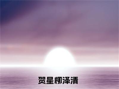 贺星柳泽清（贺星柳泽清）小说大结局-小说（贺星柳泽清）免费阅读贺星柳泽清