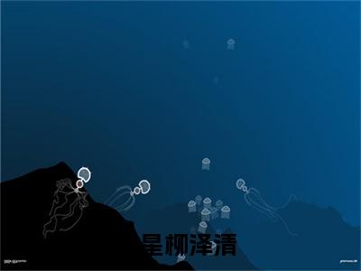 贺星柳泽清-贺星柳泽清新书热荐免费小说