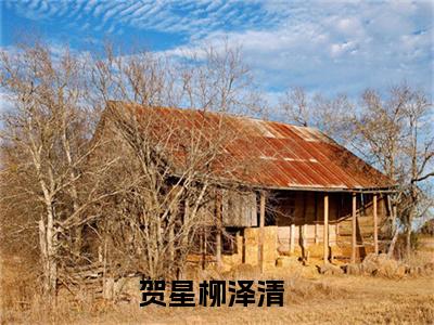 贺星柳泽清(贺星柳泽清)小说免费阅读无弹窗_(贺星柳泽清)贺星柳泽清最新章节列表笔趣阁（贺星柳泽清）