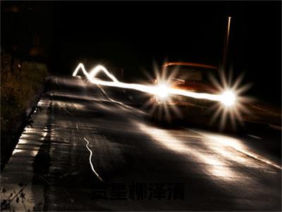贺星柳泽清(贺星柳泽清)全文免费阅读无弹窗大结局_贺星柳泽清(贺星柳泽清小说全文大结局)全章节免费在线阅读（贺星柳泽清）