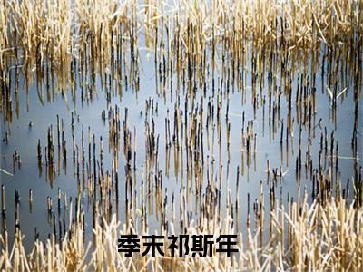 免费小说（季末祁斯年）全文免费阅读无弹窗-季末祁斯年小说全文在线赏析