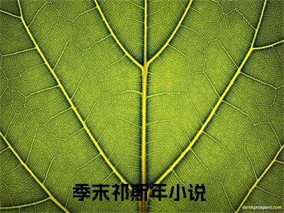 季末祁斯年精彩章节免费阅读-季末祁斯年小说完整版