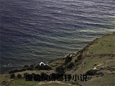 精选好书虞幼仪傅寒铮全文免费阅读大结局_虞幼仪傅寒铮（虞幼仪傅寒铮）完整版在线赏析