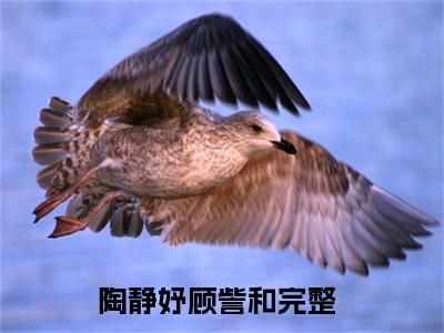 陶静妤顾訾和小说(陶静妤顾訾和)全文免费阅读无弹窗大结局 陶静妤顾訾和小说全文无删减版