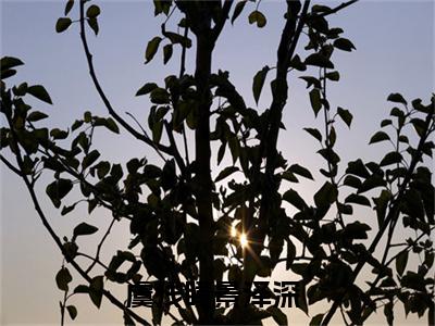 虞浅瞳景泽深全文免费阅读大结局_（虞浅瞳景泽深免费阅读无弹窗）虞浅瞳景泽深最新章节列表笔趣阁（虞浅瞳景泽深）