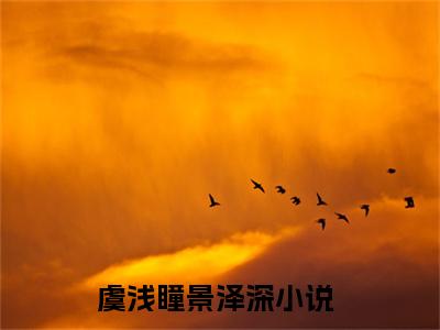 虞浅瞳景泽深小说免费阅读（虞浅瞳景泽深）全文免费阅读无弹窗大结局_虞浅瞳景泽深小说免费阅读最新章节列表_笔趣阁（虞浅瞳景泽深）