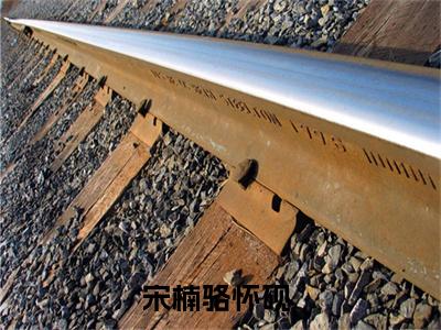 宋楠骆怀砚小说全文免费阅读（宋楠骆怀砚）全文免费阅读无弹窗大结局_(宋楠骆怀砚)宋楠骆怀砚小说免费阅读无弹窗最新章节列表_笔趣阁（宋楠骆怀砚）