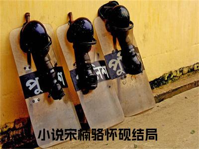 宋楠骆怀砚（宋楠骆怀砚免费小说）全文免费阅读无弹窗大结局_宋楠骆怀砚最新章节列表_笔趣阁（宋楠骆怀砚小说）