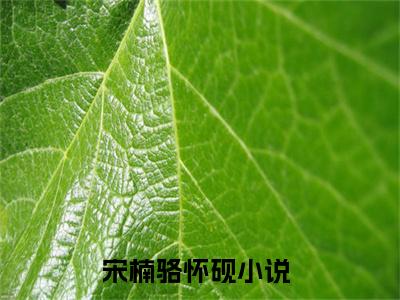 宋楠骆怀砚（宋楠骆怀砚）全文免费阅读无弹窗大结局_宋楠骆怀砚全文阅读最新章节列表_笔趣阁（宋楠骆怀砚）