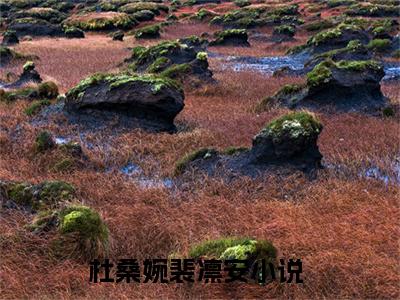 杜桑婉裴凛安（杜桑婉裴凛安）是什么小说-小说杜桑婉裴凛安全文阅读