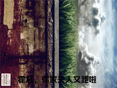 霍景琛鹿晚晚（霍总，你家夫人又跑啦）高质量小说霍总，你家夫人又跑啦推荐阅读-霍景琛鹿晚晚（霍总，你家夫人又跑啦）小说最新章节