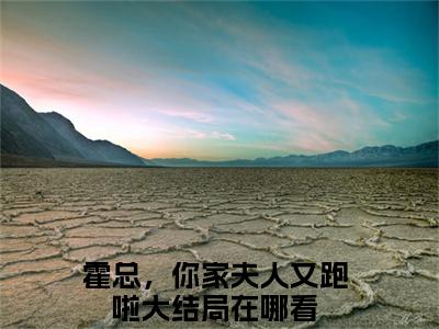 霍景琛鹿晚晚小说霍总，你家夫人又跑啦全文免费阅读无弹窗-正版小说霍景琛鹿晚晚全文阅读