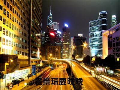 霍景琛鹿晚晚（霍总，你家夫人又跑啦）全文免费阅读无弹窗大结局_霍景琛鹿晚晚在线阅读笔趣阁(霍总，你家夫人又跑啦）
