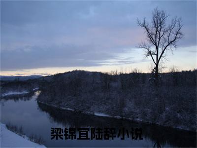 梁锦宜陆辞（梁锦宜陆辞）小说免费在线阅读_梁锦宜陆辞全本免费小说阅读（梁锦宜陆辞）