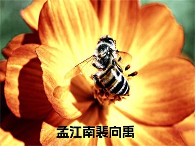 孟江南裴向禹榜单小说全文免费阅读无弹窗大结局-孟江南裴向禹全文在线阅读