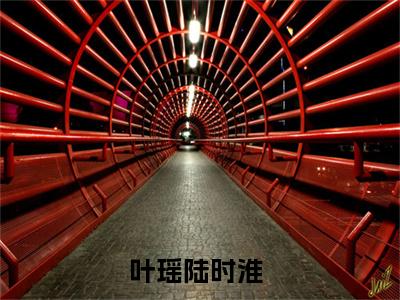 叶瑶陆时淮现言热文叶瑶陆时淮在线阅读-（叶瑶陆时淮）小说分享大结局叶瑶陆时淮