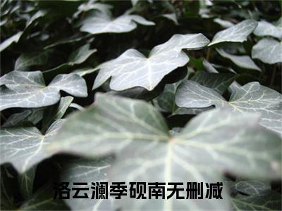 洛云澜季砚南全文免费阅读无弹窗大结局_ 洛云澜季砚南热门章节在线阅读笔趣阁