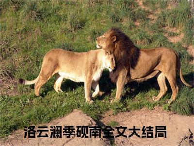 洛云澜季砚南小说（洛云澜季砚南）全文在线阅读无弹窗大结局