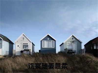 沈宴随姜意柔（沈宴随姜意柔）热门小说盘点在线阅读-沈宴随姜意柔小说无弹窗