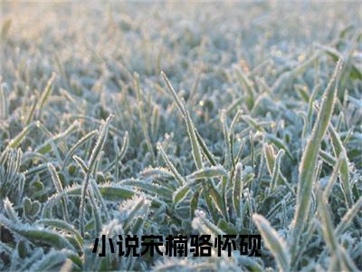 宋楠骆怀砚（宋楠骆怀砚）全文免费阅读_（宋楠骆怀砚）宋楠骆怀砚最新章节列表_笔趣阁（宋楠骆怀砚）