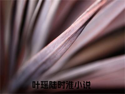 叶瑶陆时淮小说免费阅读叶瑶陆时淮小说全文免费阅读_叶瑶陆时淮最新章节列表笔趣阁
